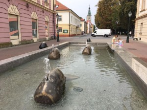 Bjelovar - kitovi