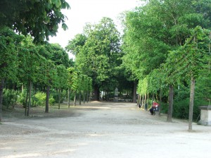 Bruxelles park